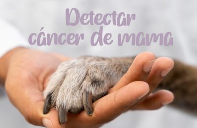 Tumor de mama en la perra
